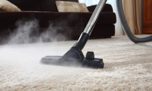 professional cleaning