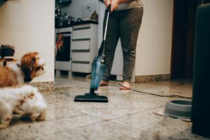 Pet-Friendly Cleaning