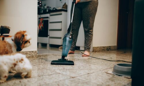 Pet-Friendly Cleaning