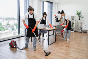 Professional Cleaning