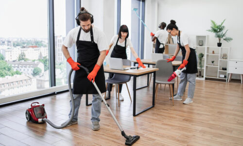 Professional Cleaning