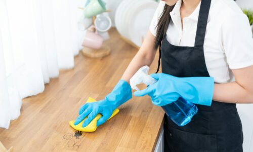 Cleaning Services